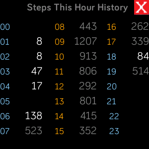 Steps This Hour History